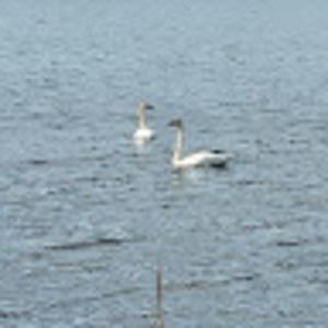 Meet your Posher, Nita